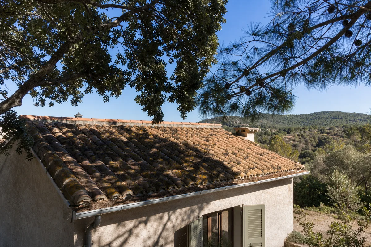 Chênes verts et pins d’Alep en surplomb du toit en tuile canal d’une maison isolée du Var intérieur